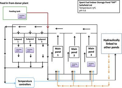 Identification of a Stable Hydrogen-Driven Microbiome in a Highly Radioactive Storage Facility on the Sellafield Site